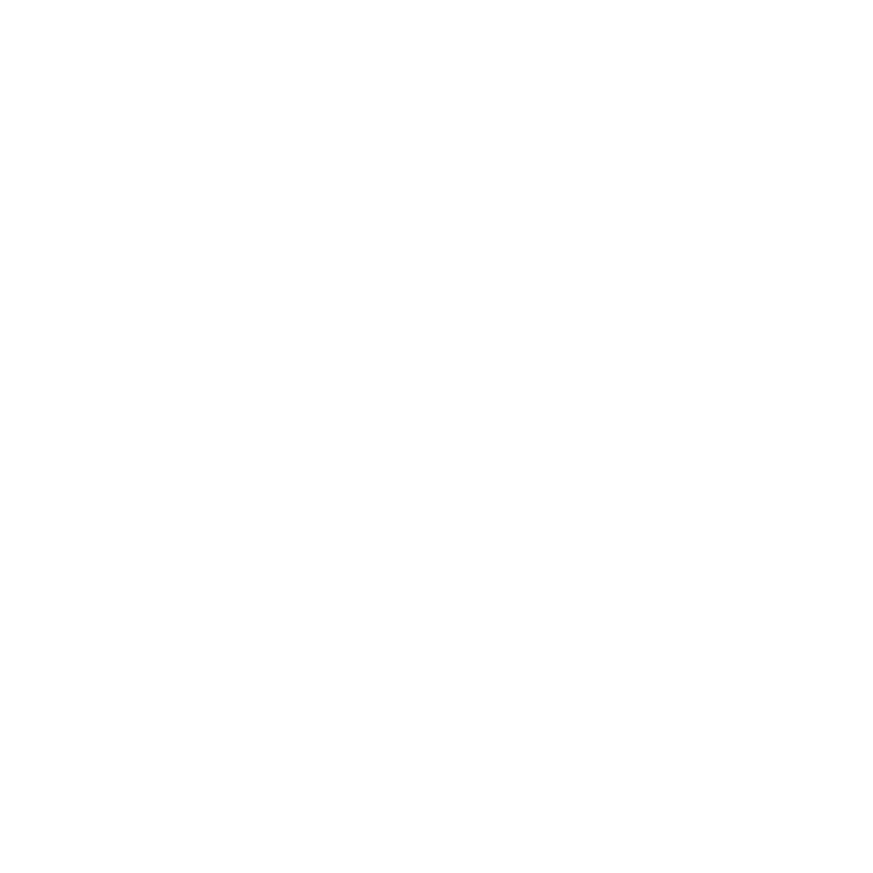 Die Tryin Co. logo